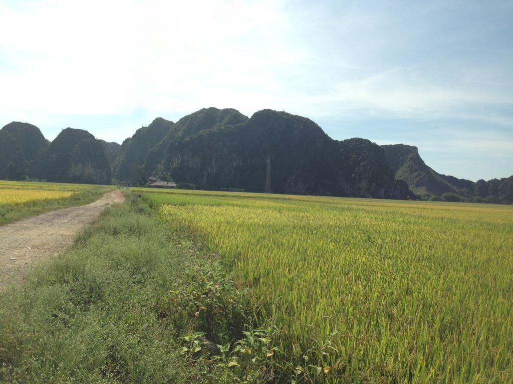 Tam Coc Homestay Ninh Binh Exterior foto